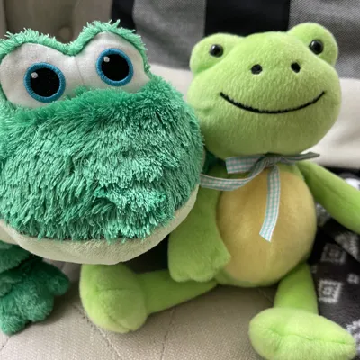 Cute Frog Plush Toy Set – 2 Adorable Frogs 🐸💚