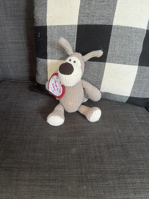 Adorable Valentine's Day Dog Plush – "Hugs & Kisses" ❤️🐶